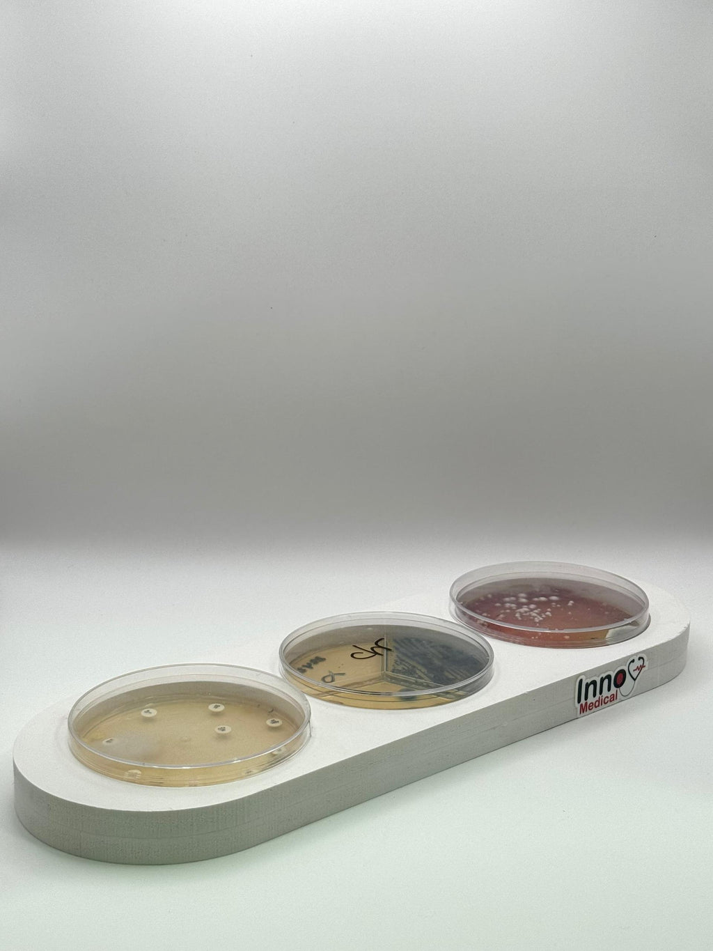 Portoir pour boîtes de Petri